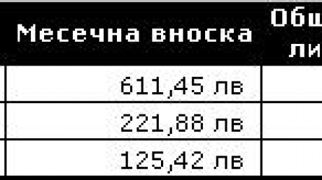 Как да съобразим срока на кредита с месечните вноски? pic